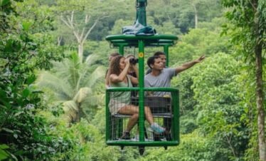 Sarapiquí: The Untamed Caribbean Heart. A Luxury Expedition Between Rainforest and River.