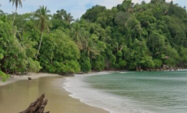 Discover Paradise: Exclusive Manuel Antonio Tour