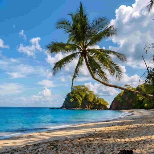 White Sand Oasis: Your Private Escape to the Pacific