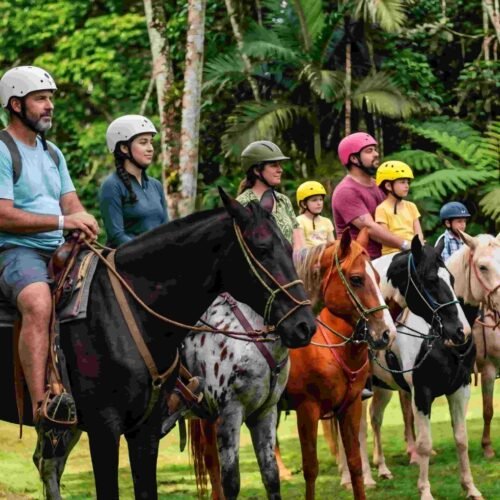 Tri-Combo: Zipline, Horseback & ATV Expedition