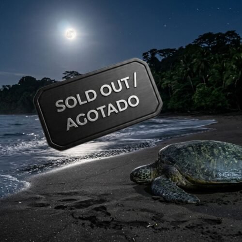 Witness the Miracle: An Exclusive Tortuguero Nesting Experience.