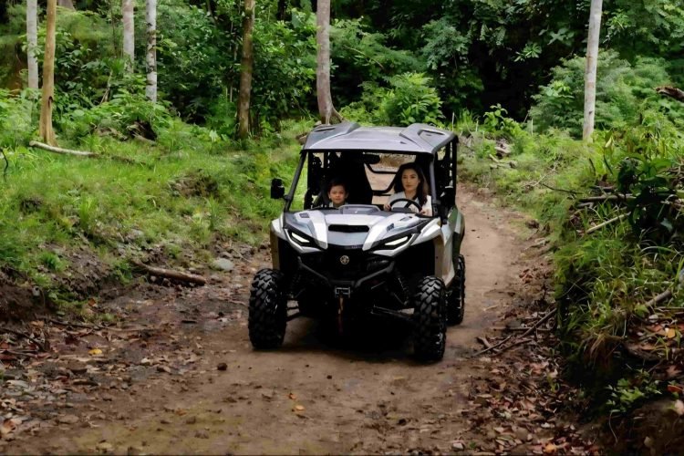 buggy