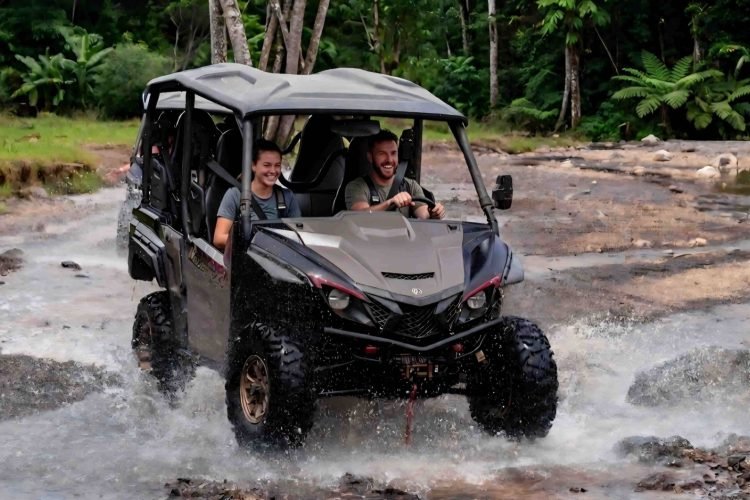 buggy1