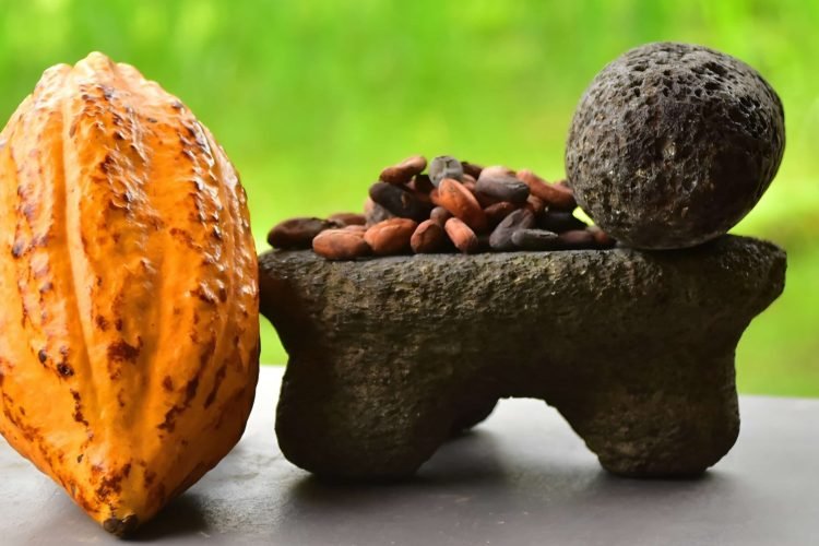 cacao