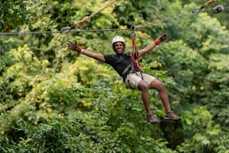 zipline1
